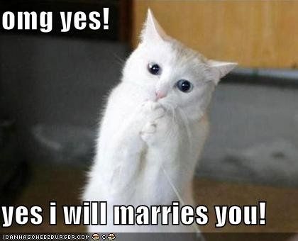 This is how I feel about wedding planning....
