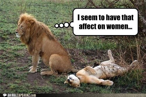 Mrs S ... We need to start another funny Cat thread!