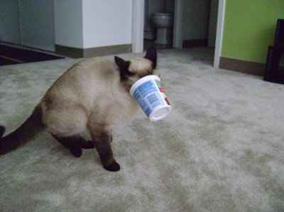 I missed out on the buddy!!(pics of what you are getting into)