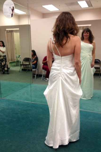 Dress Fitting - Pictures