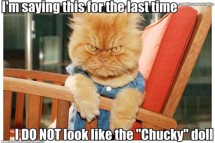 It's Friday!!  Let's be animals!