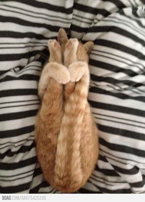 I'm going to try these today...