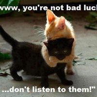 NWR:  Goodbye: The dramatic bad side to Wedding Wire....