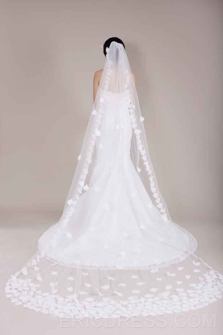 Show me your Veils