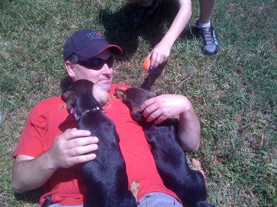 Completely NWR!  I need NAMES!  (Cute puppy pic heavy)