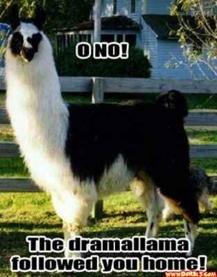 NWR: The Earthquake was the boring part of my day