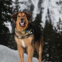 BAM! - Winter Mountain Elopement