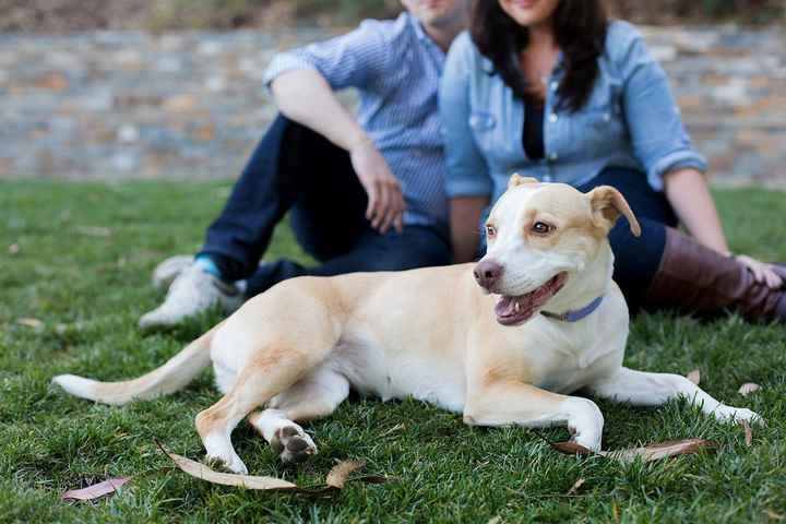 Show me your Furbabies!