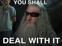 Bc I am a basic white bitch.