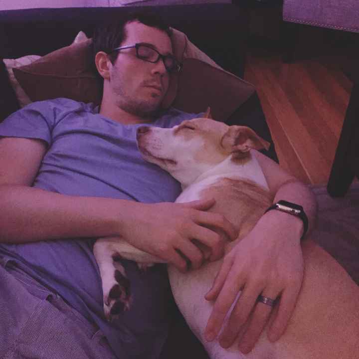 Animals in your wedding?