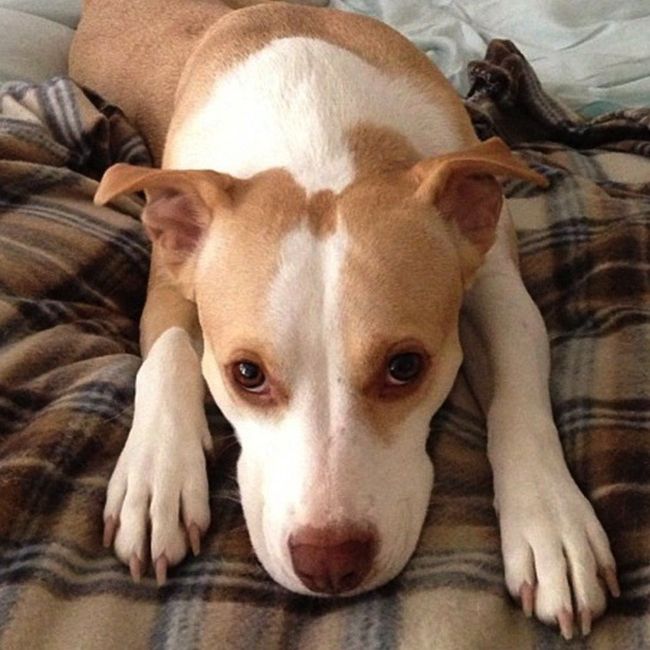 NWR - Furbaby Friday