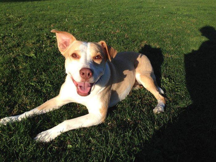 NWR: Share your funny pet stories!