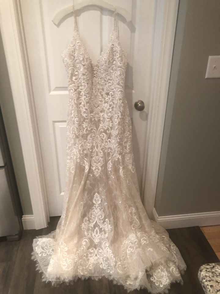 Calling all Fashionistas - 1