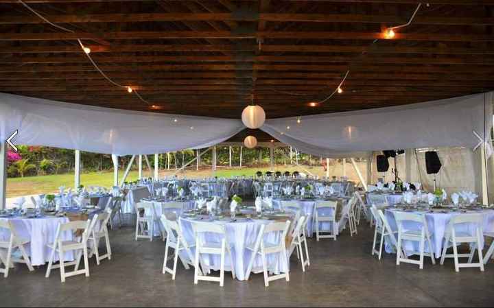 I want to see / show me your