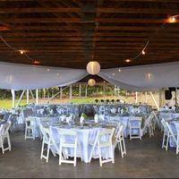 I want to see / show me your