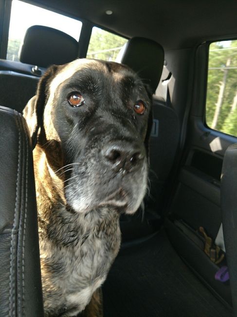 NWR: Furbaby!