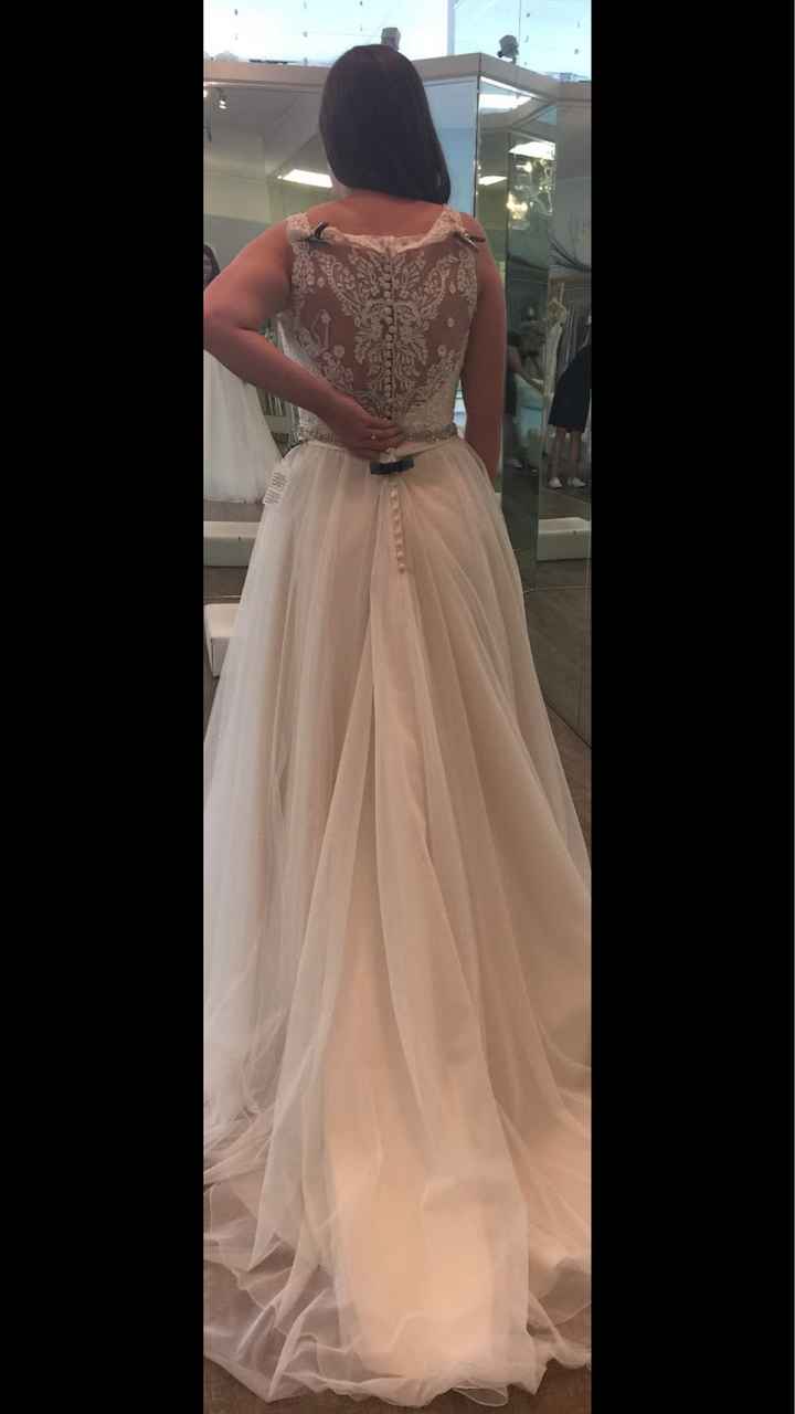 Dying my dress??? - 1