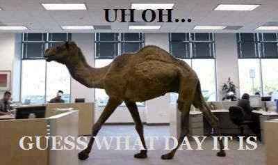 Today is...... !