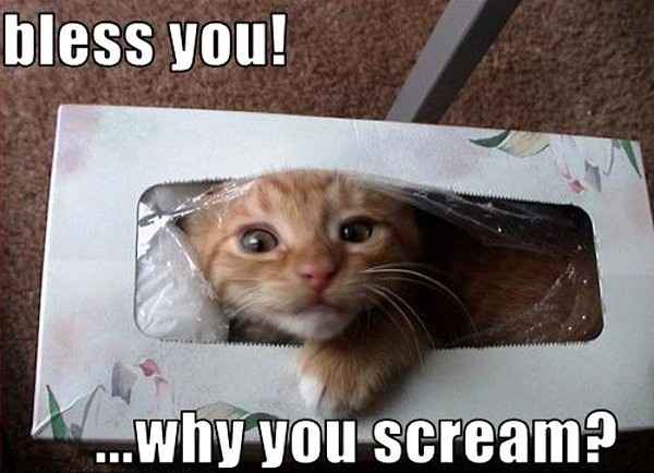 I need you now more than evahhh!