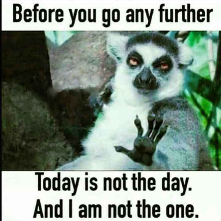 NWR- let's have a meme war!