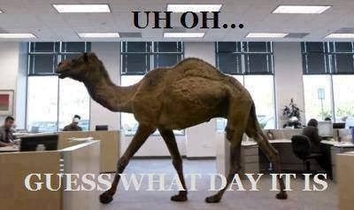 Today is...... !