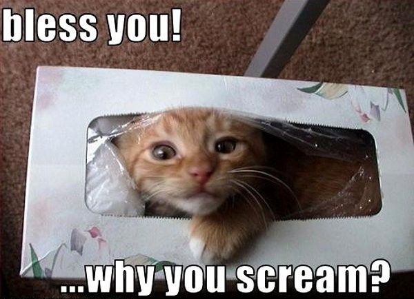 I need you now more than evahhh!