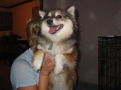 NWR - Furry babies