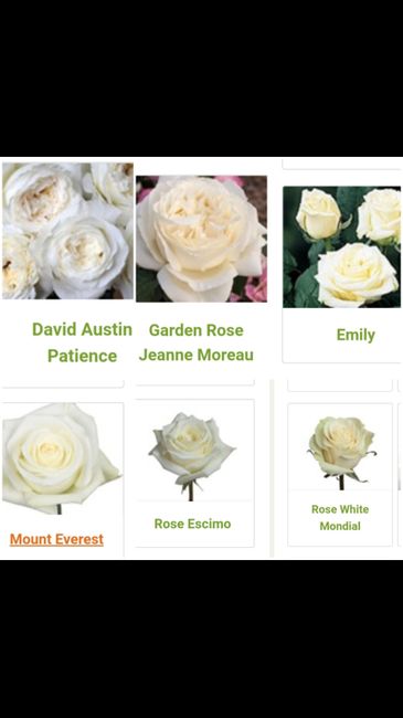 Bridal bouquet choice 1