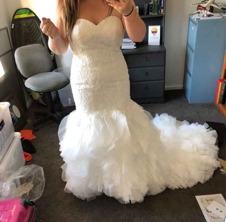 Yes or No? - 1
