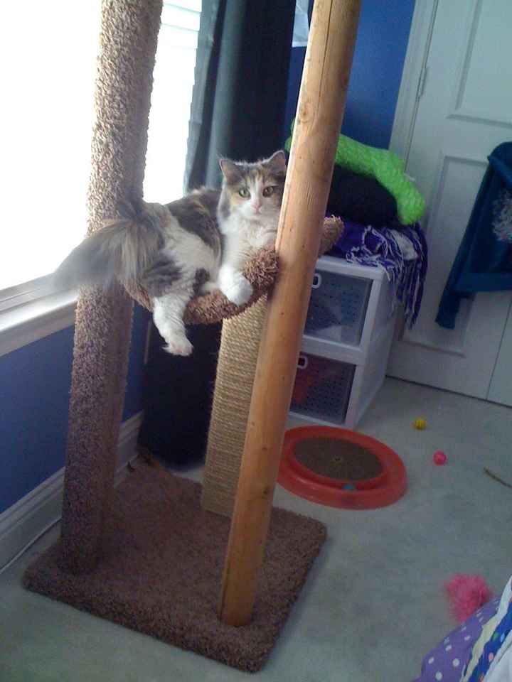 We've seen your rings, your dresses, your jewels.... show me your