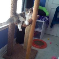 We've seen your rings, your dresses, your jewels.... show me your