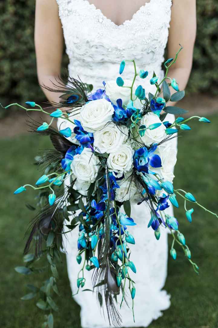 Pro-BAM finally....Pic Heavy