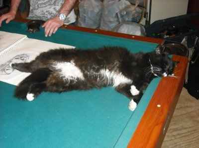 Lets see those pets!!! (NWR)