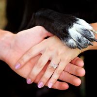 Admidst the Covid-19 panic, post your favorite picture from your engagement shoot. - 1