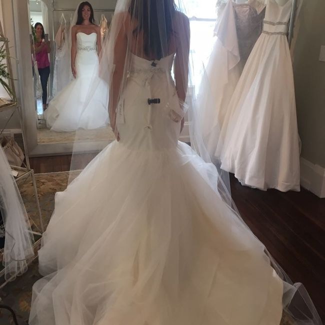 Hailey Paige Dresses