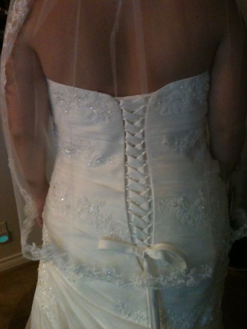 My dress came in...3 months early! *happy dance* (pics)