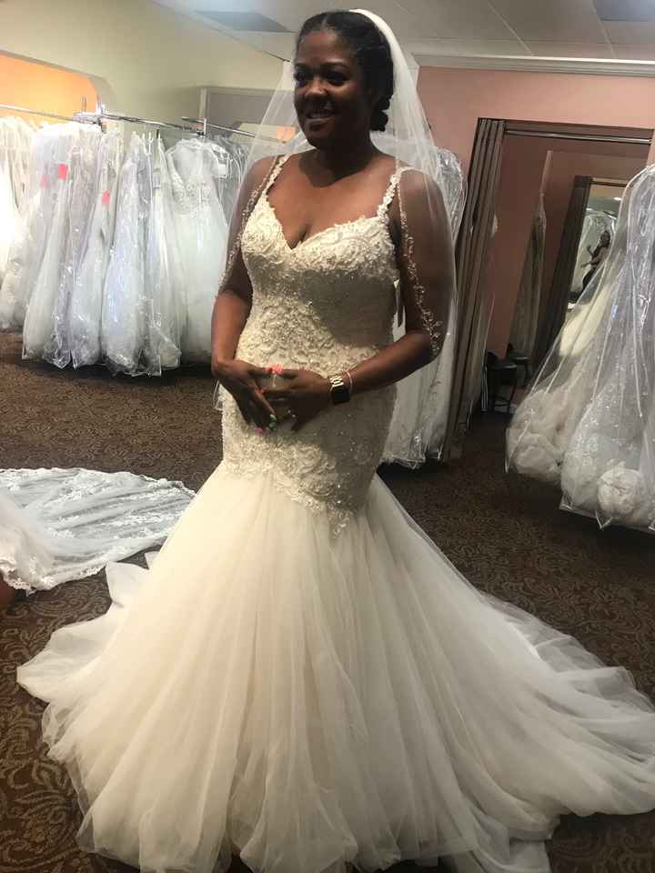 Said Yes to the Dress! - 2