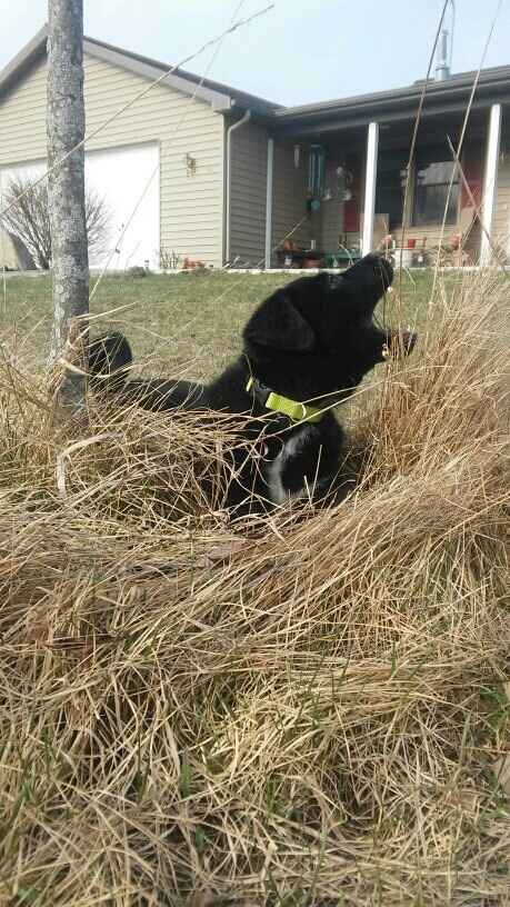 Need some positivity: Sick for the Wedding?