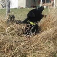 Need some positivity: Sick for the Wedding?