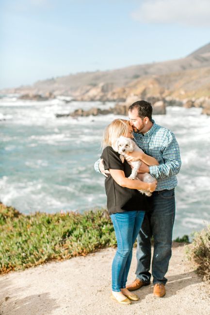 Engagement photos w/ dogs - 1