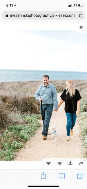 Engagement photos w/ dogs - 3