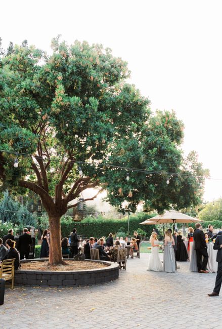 Where are you getting married? Post a picture of your venue! - 4