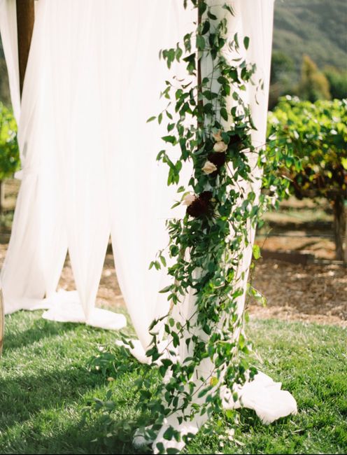 Chuppah help? - 2