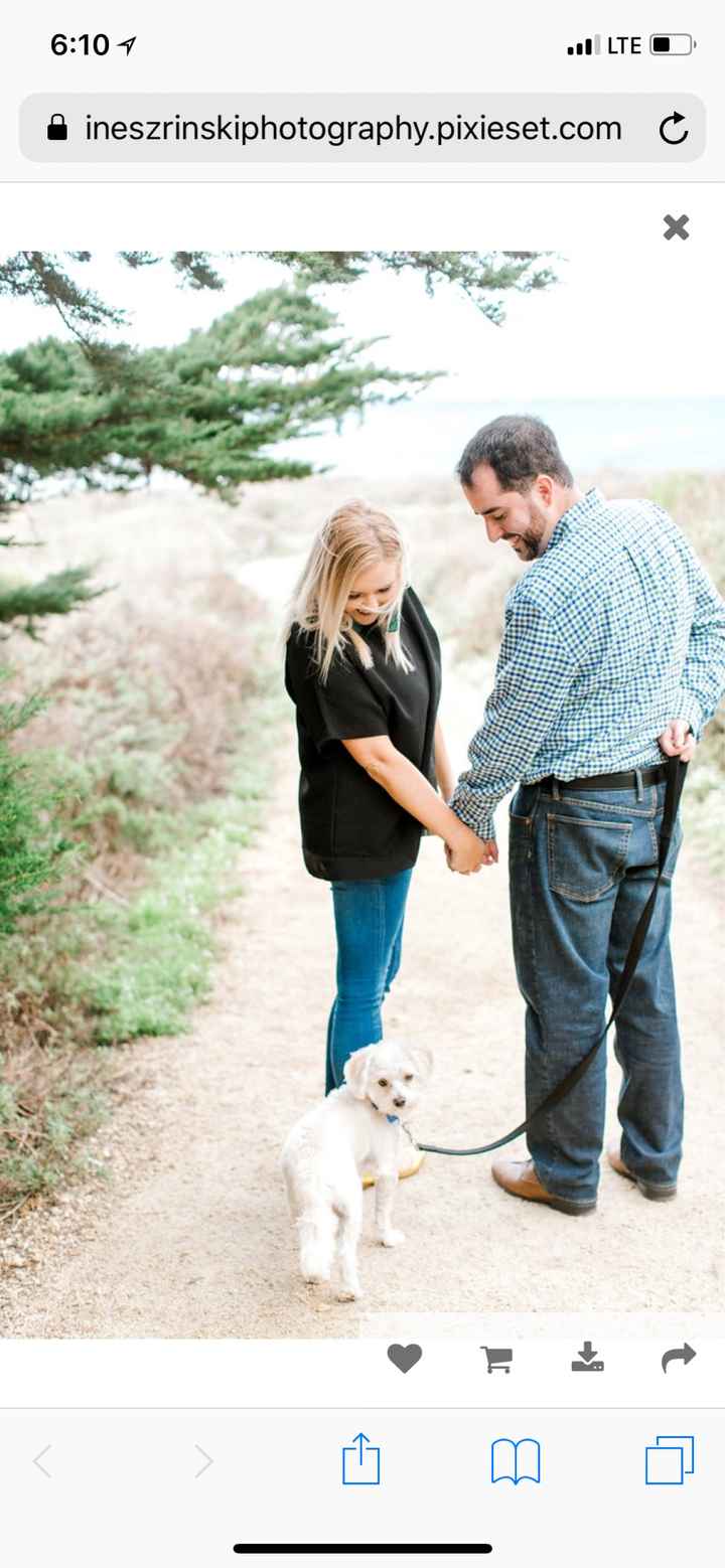 Engagement photos w/ dogs - 2