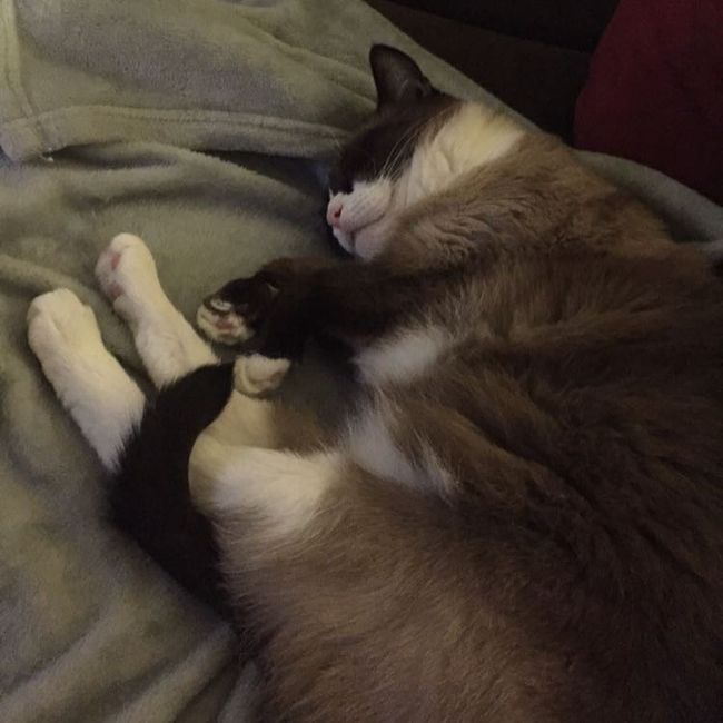 NWR- pets! We love them show me yours :)