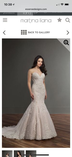Mermaid & fit and flare dresses!! - 1