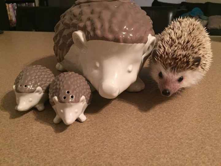 KWR- So Cute!