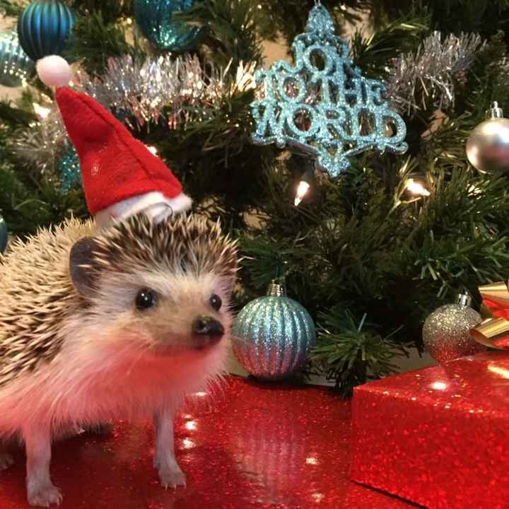 SPINOFF: Since It's Intro Day