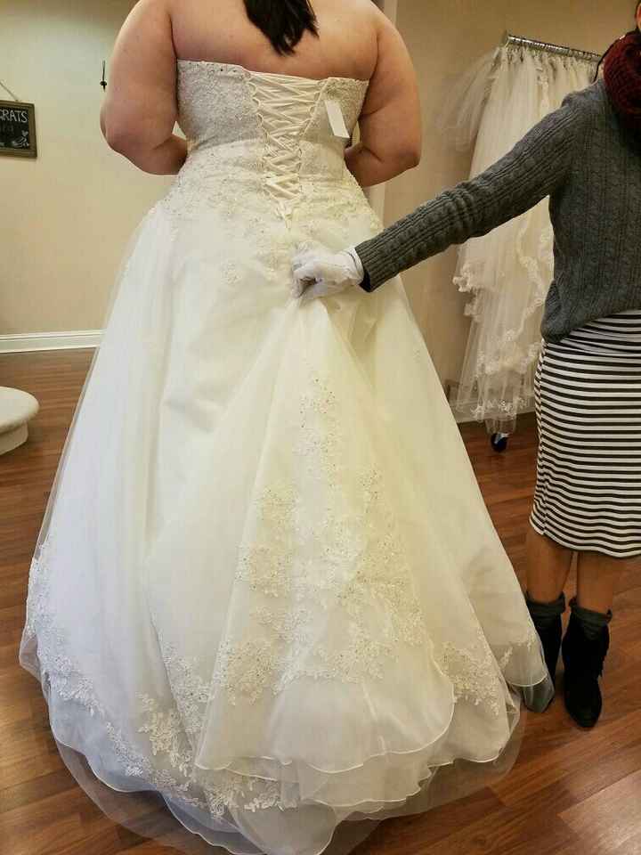 My dress came in!!!!