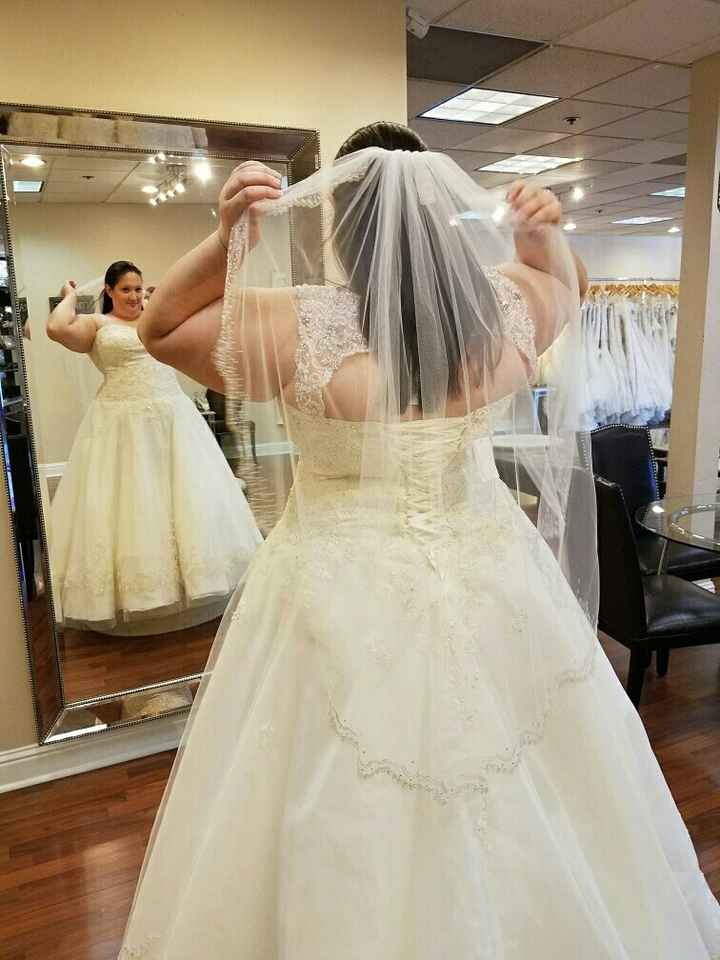 My dress came in!!!!